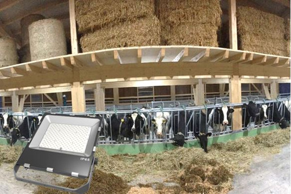 LED Scheinwerfer Flächenstrahler Outdoor im Freien