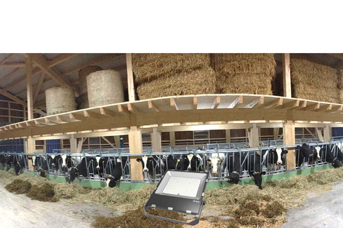 LED Beleuchtungen für Industrie und Sport - proXlight - proXplus